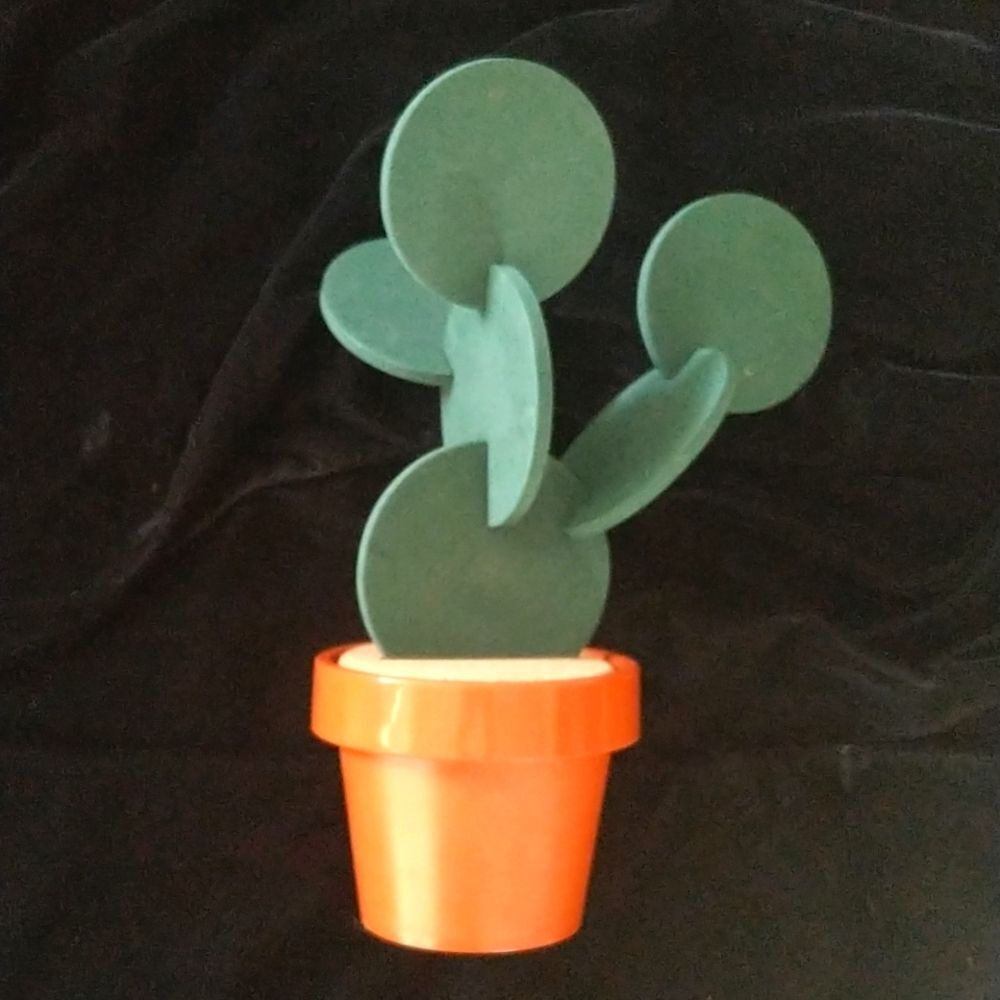 Cactus 🌵 Coaster Set